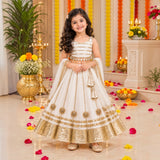 Freeplay Sleeveless Striped Choli & Lehenga Set with Dupatta & Back Dori Tie-Up Closure