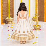Freeplay Sleeveless Striped Choli & Lehenga Set with Dupatta & Back Dori Tie-Up Closure