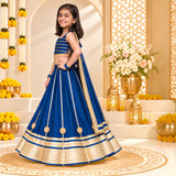 Freeplay Sleeveless Striped Choli & Lehenga Set with Dupatta & Back Dori Tie-Up Closure