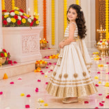 Freeplay Sleeveless Striped Choli & Lehenga Set with Dupatta & Back Dori Tie-Up Closure