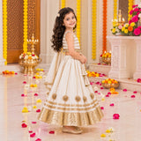 Freeplay Sleeveless Striped Choli & Lehenga Set with Dupatta & Back Dori Tie-Up Closure