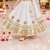 Freeplay Sleeveless Striped Choli & Lehenga Set with Dupatta & Back Dori Tie-Up Closure